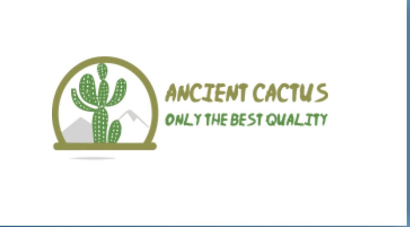 Peyote Cactus